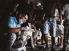 Sanidad Animal OIE Quiénes somos