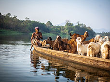 Economía OIE La sanidad animal desde la visión de la economía